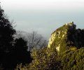 Ostrov Ischia