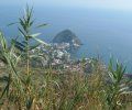Ostrov Ischia