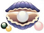 mušle